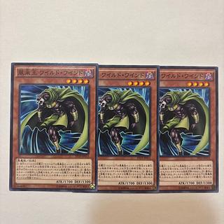 風来王 ワイルド・ワインド ノーマル JP013 3枚