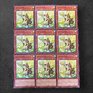 8640 [King of Games] Matatabi Sentaku 9-card set