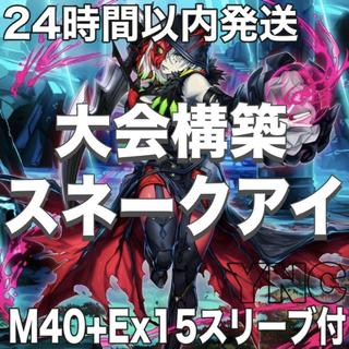 Snake Eye Deck [Search terms: Yu-Gi-Oh!, serious deck building, Ash Blossom & Joyous Spring, Dear Bianca Star, Infinite Impermanence, Fire King] 1枚