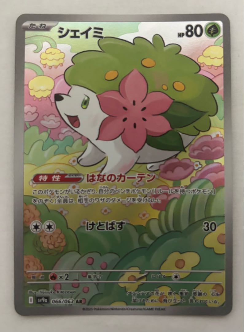 Shaymin AR 1枚