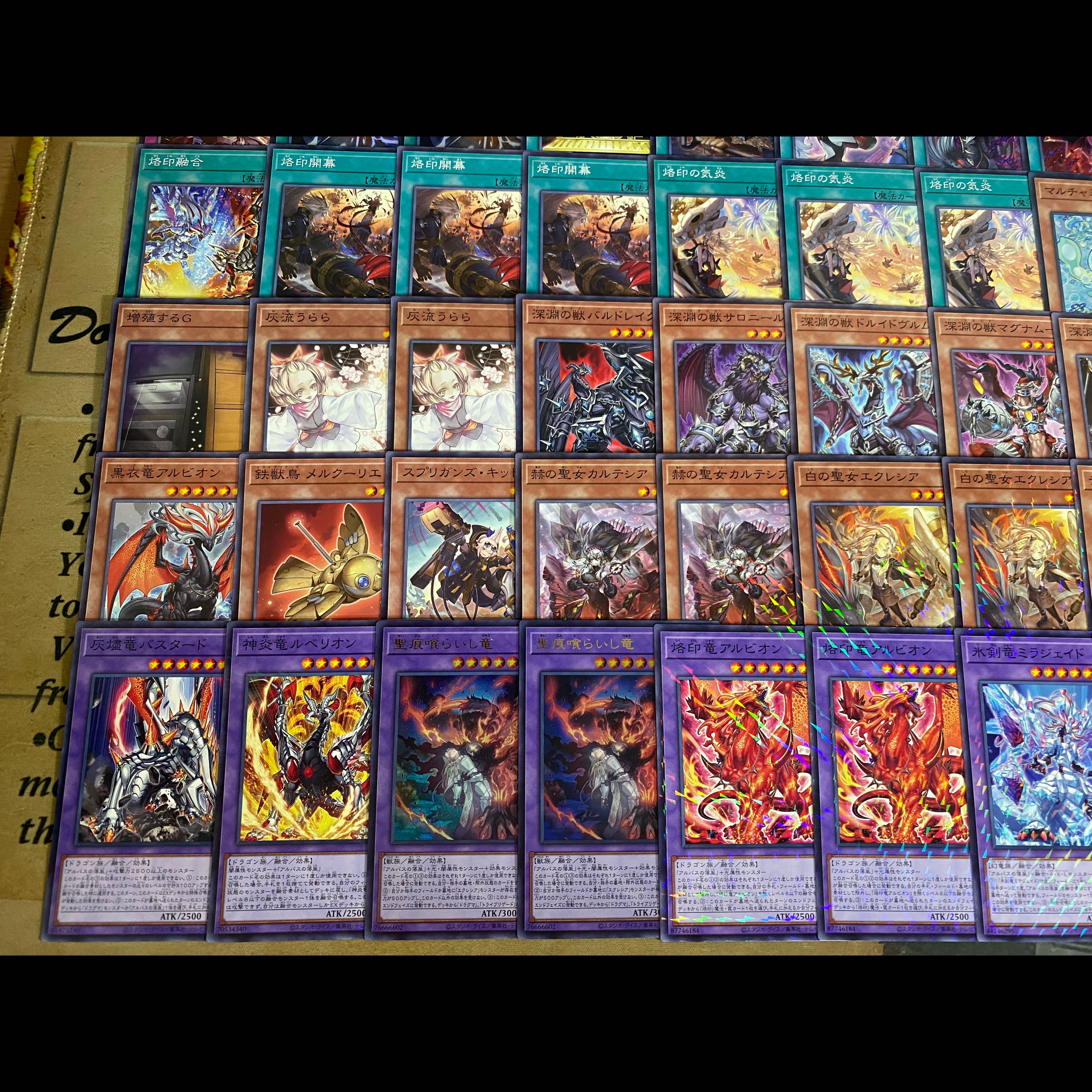 Brand Deck: Yu-Gi-Oh! Serious Deck Building, Tournament-Ready Deck: "The Fallen & The Virtuous," Eclesia, the Black Dragon 1枚