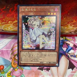 灰流うらら(イラスト違い版)」の激安通販 | magi 灰流うらら(イラスト違い版)」の激安通販 | magi