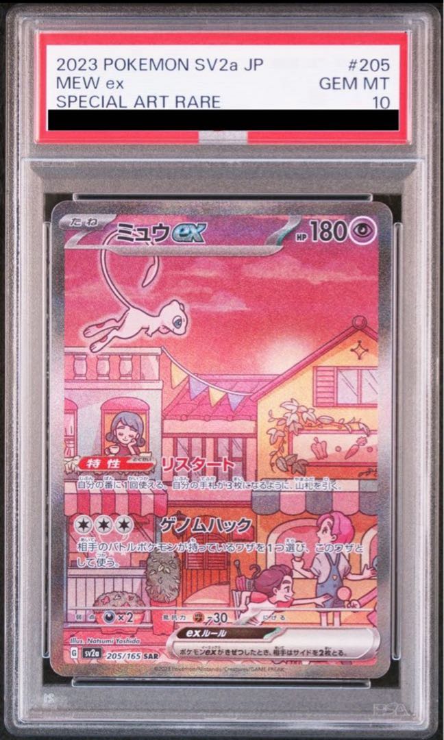 PSA10] Mewex SAR 205/165