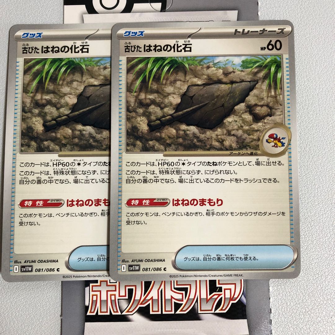 Old spring fossil C 081/086