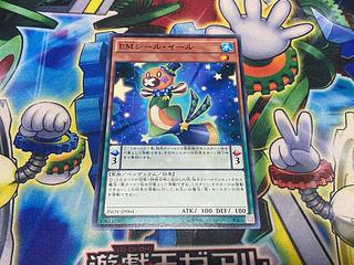 Y-1846 Performapal Seal Eel Normal JP004