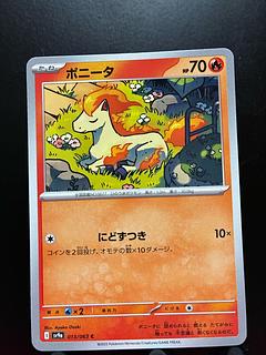 Rakurakudo] Pocketka Ponyta