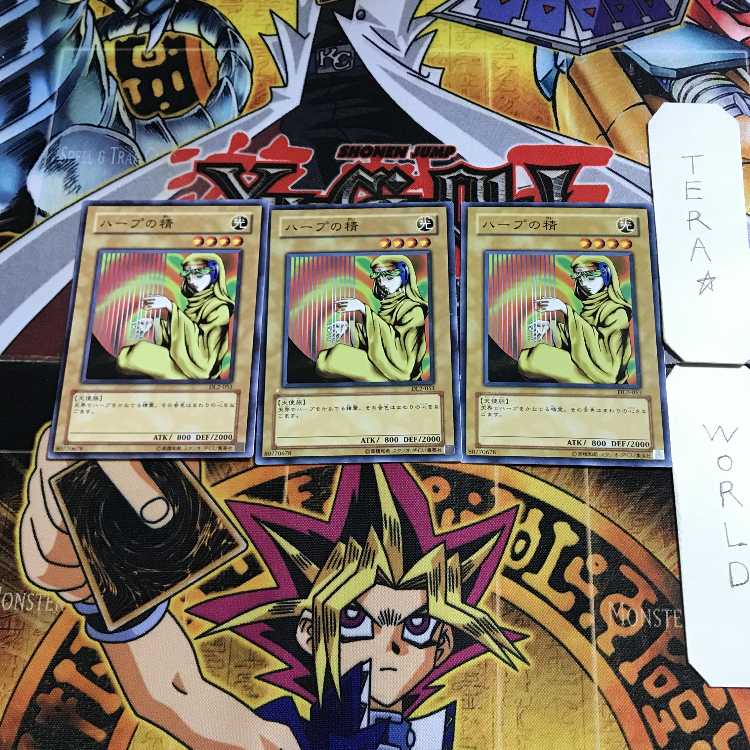 あくせら@プロフ商品説明必読 様 専用 1枚