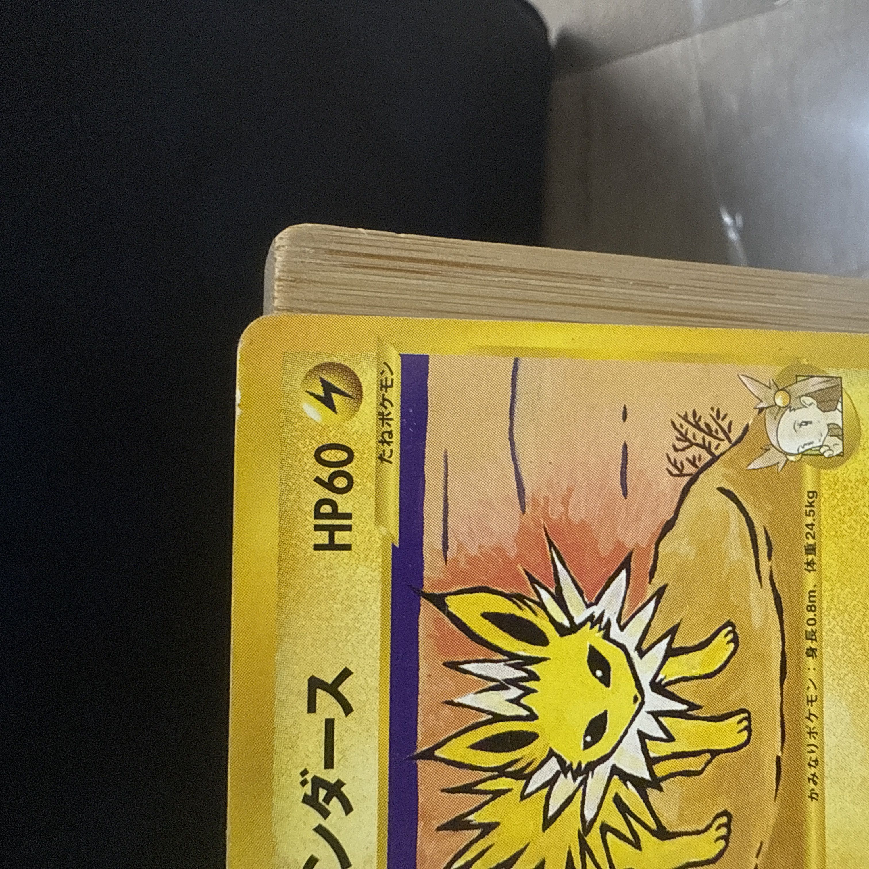 Jasmine's Jolteon Pokémon Card VS ● 030/141 1枚