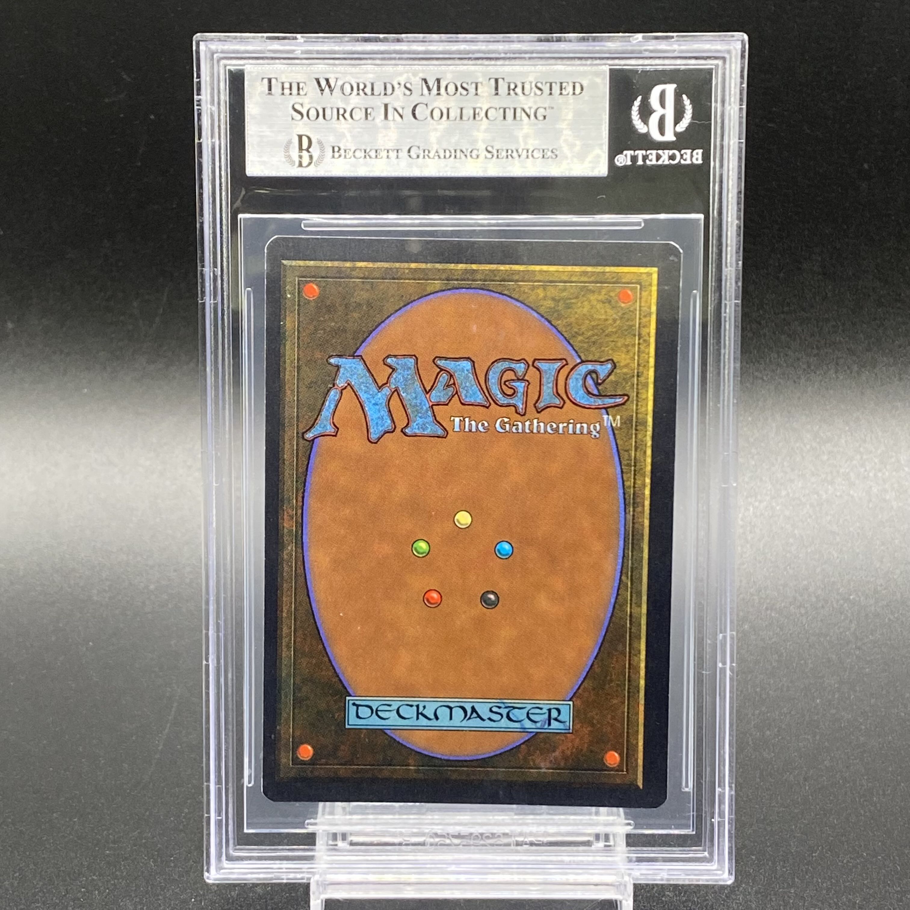 BGS9】沼 / Swamp 基本土地 サマーマジックの通販 土日祝休 magi