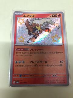 Entei S 213/190 1枚