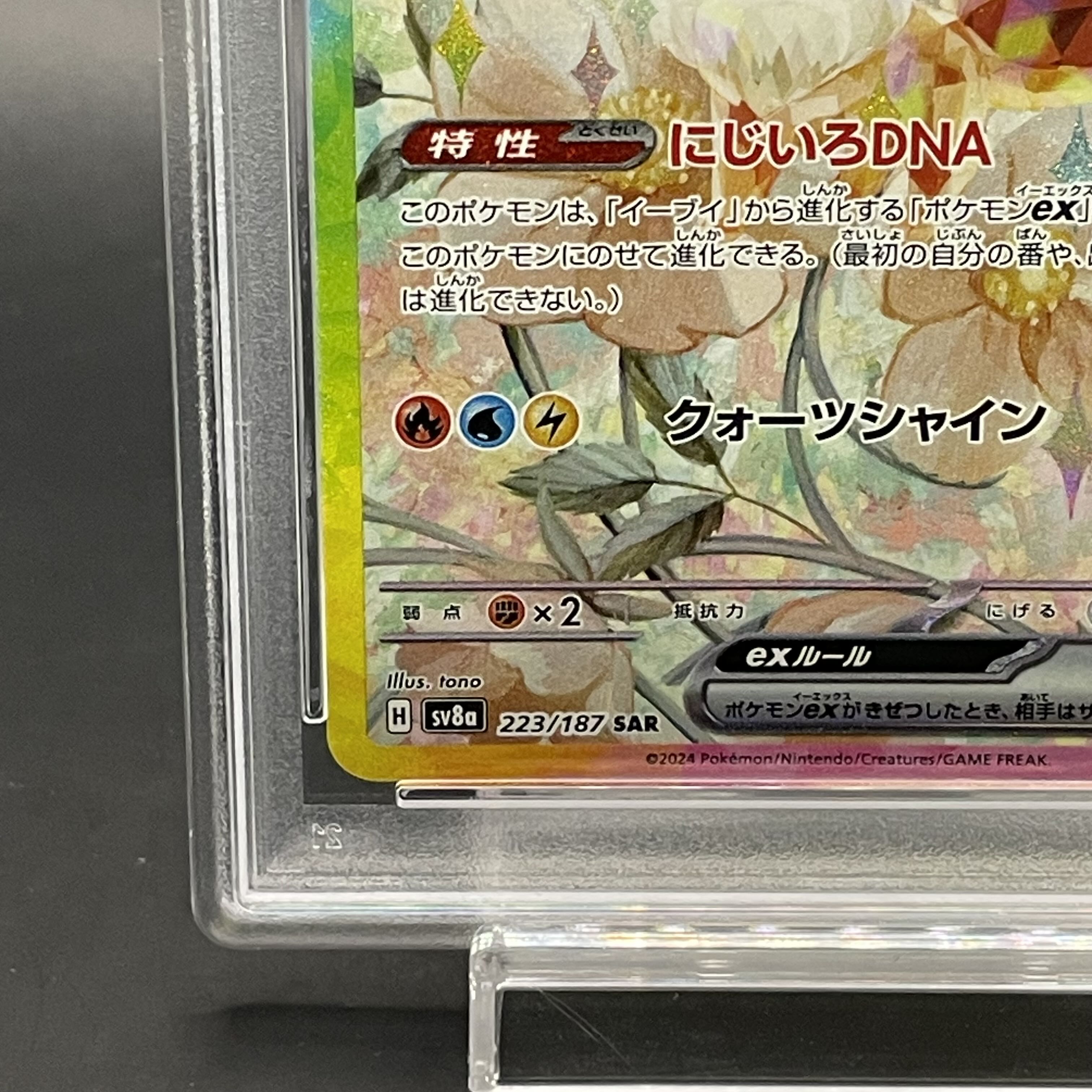 PSA10】イーブイex SAR 223/187の通販 土日祝休@magi公式 PSA10】イーブイex SAR 223/187の通販 土日祝休@magi公式