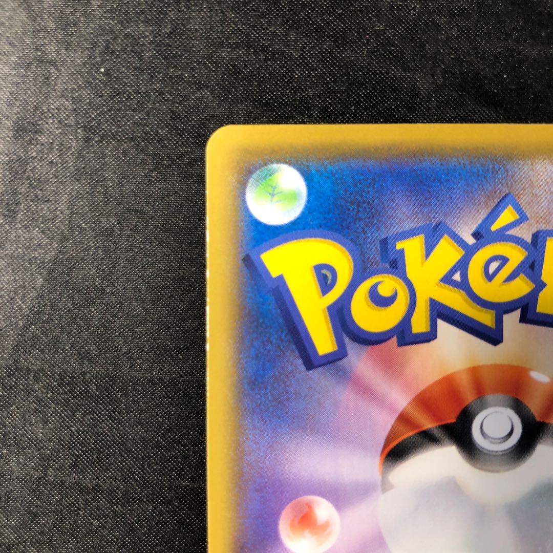 サッチムシ S 206/190 1枚