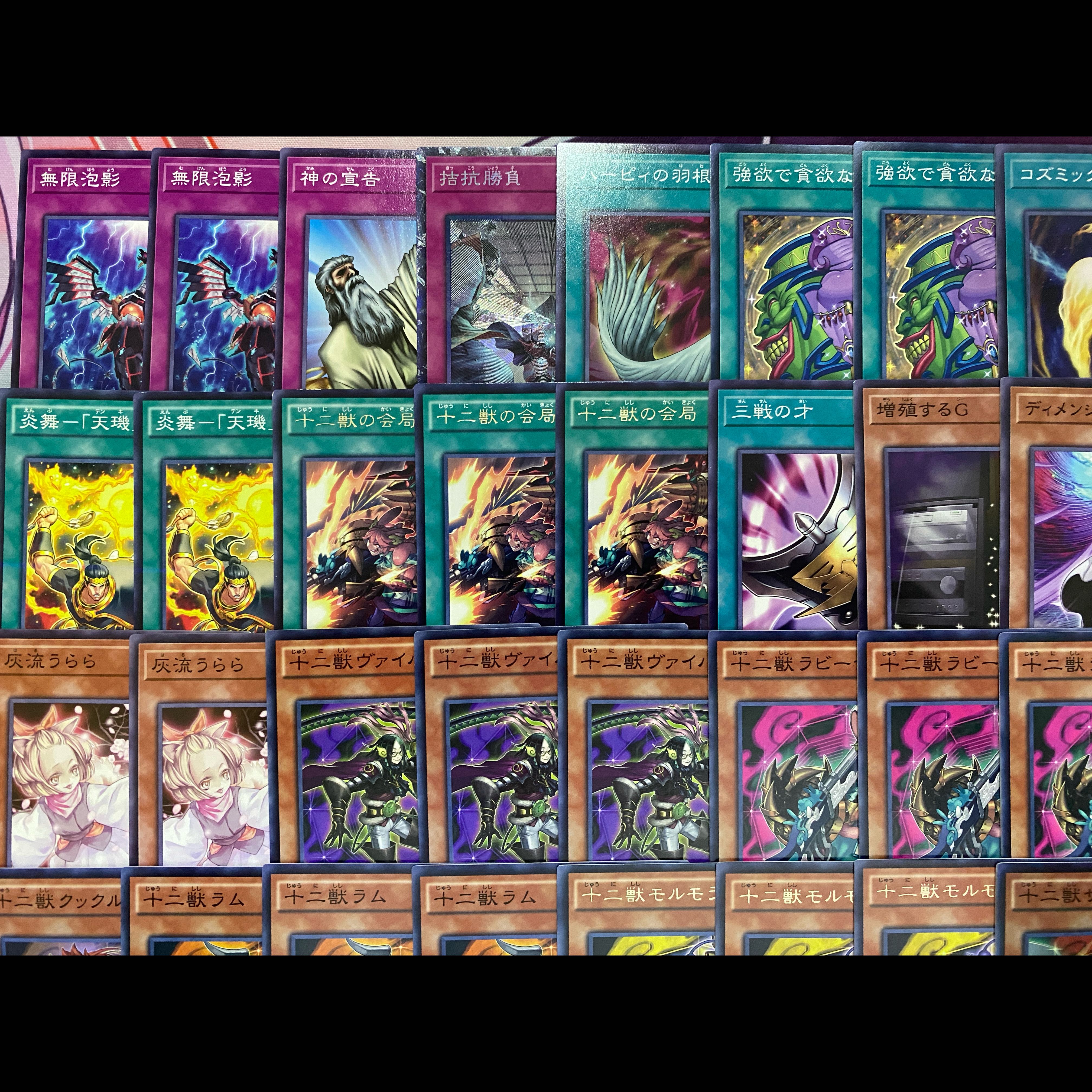 【24時間以内発送】遊戯王　十二獣　大会構築デッキ 1枚