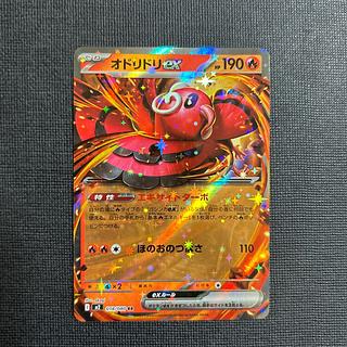 オドリドリex トレーディングカード オドリドリex RR 018/080の通販 msc （1588083646） | magi
