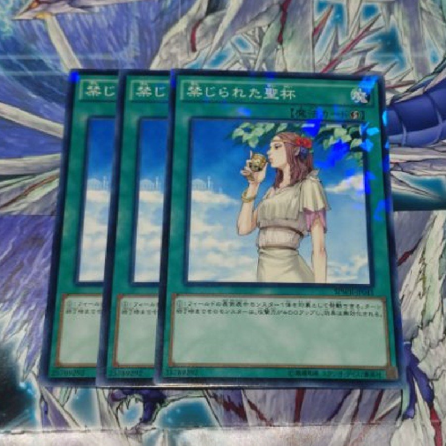 Forbidden Chalice (Parallel, Normal) JP041 3枚