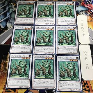 Junk Warrior 1 Normal, set of 9 Tera.