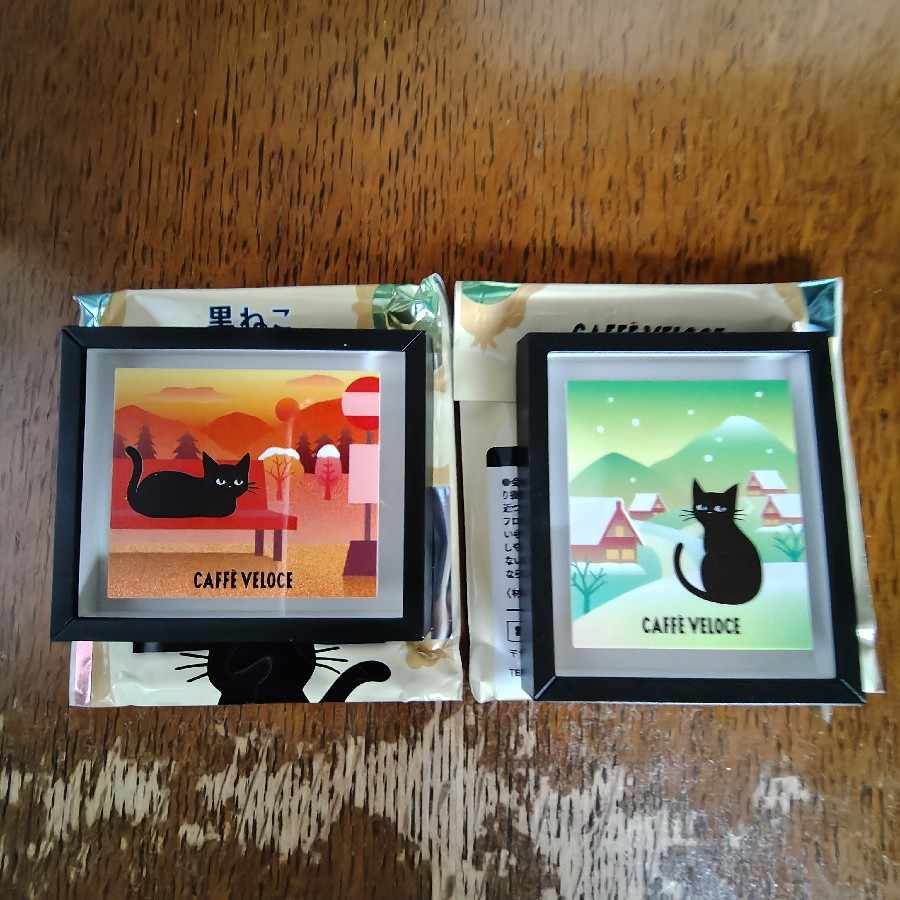 Cafe Veloce Kuroneko Magnet 2 kinds set - new