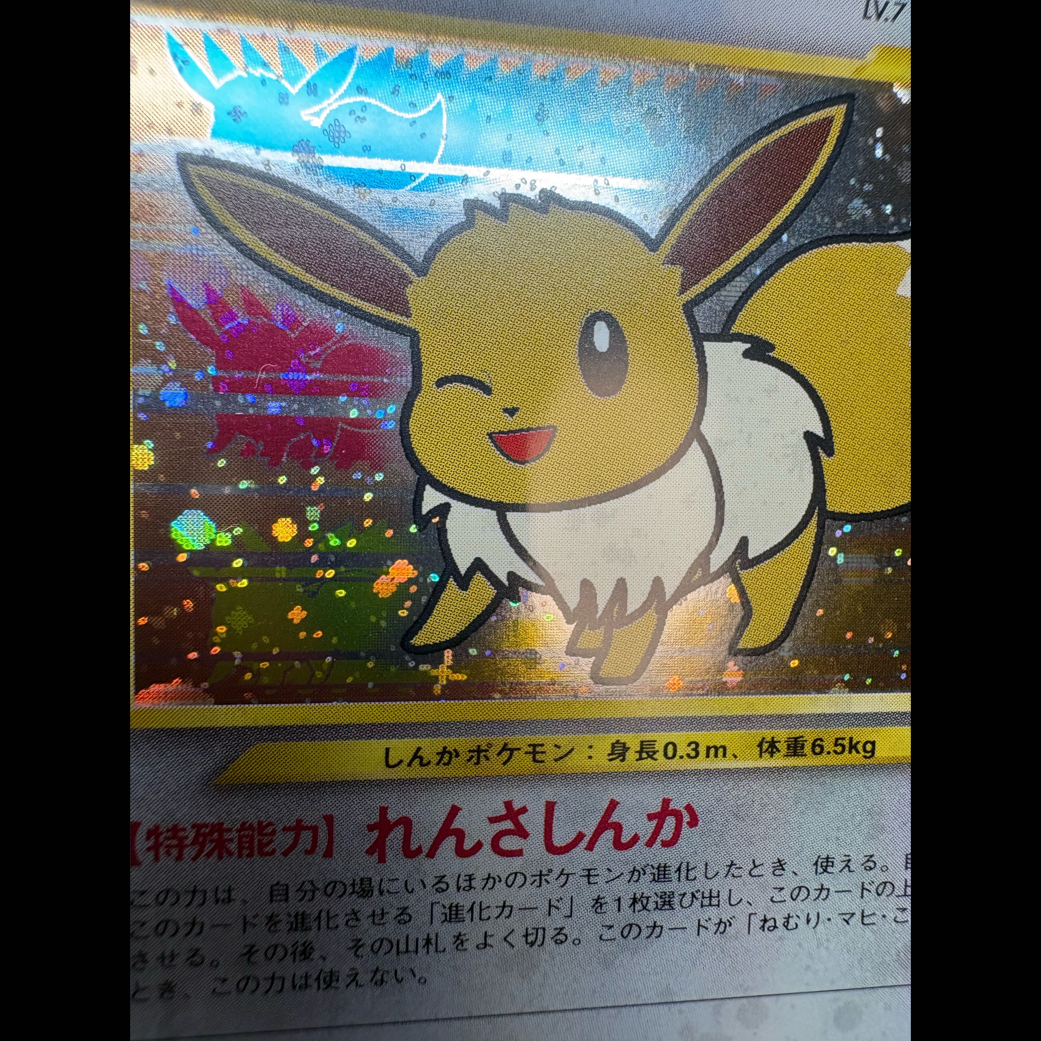 Eevee Pokémon Fan Krabby Special Edition Card (Old Back) PROMO 1枚