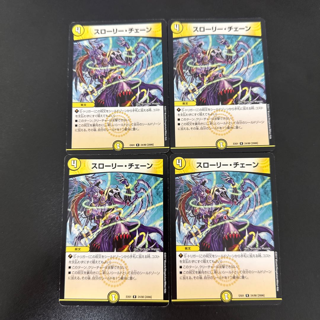 Slowly Chain R 24/80 [2006].