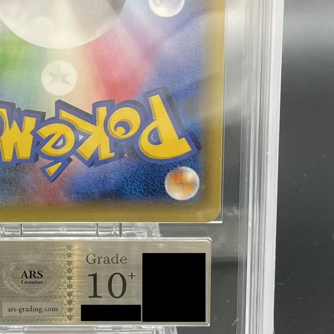 ARS10+] Pikachu PROMO 231/XY-P in poncho 1枚