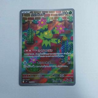 @ @ Maractus AR 101/100