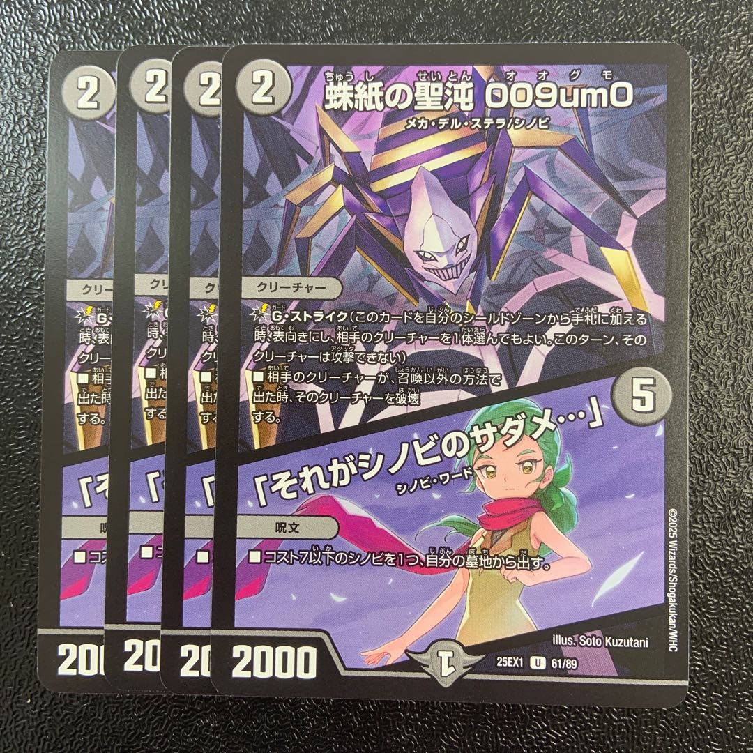 A spider paper holy chaos 009um0｜"That is the Sadame of Shinobi..." U 61/89