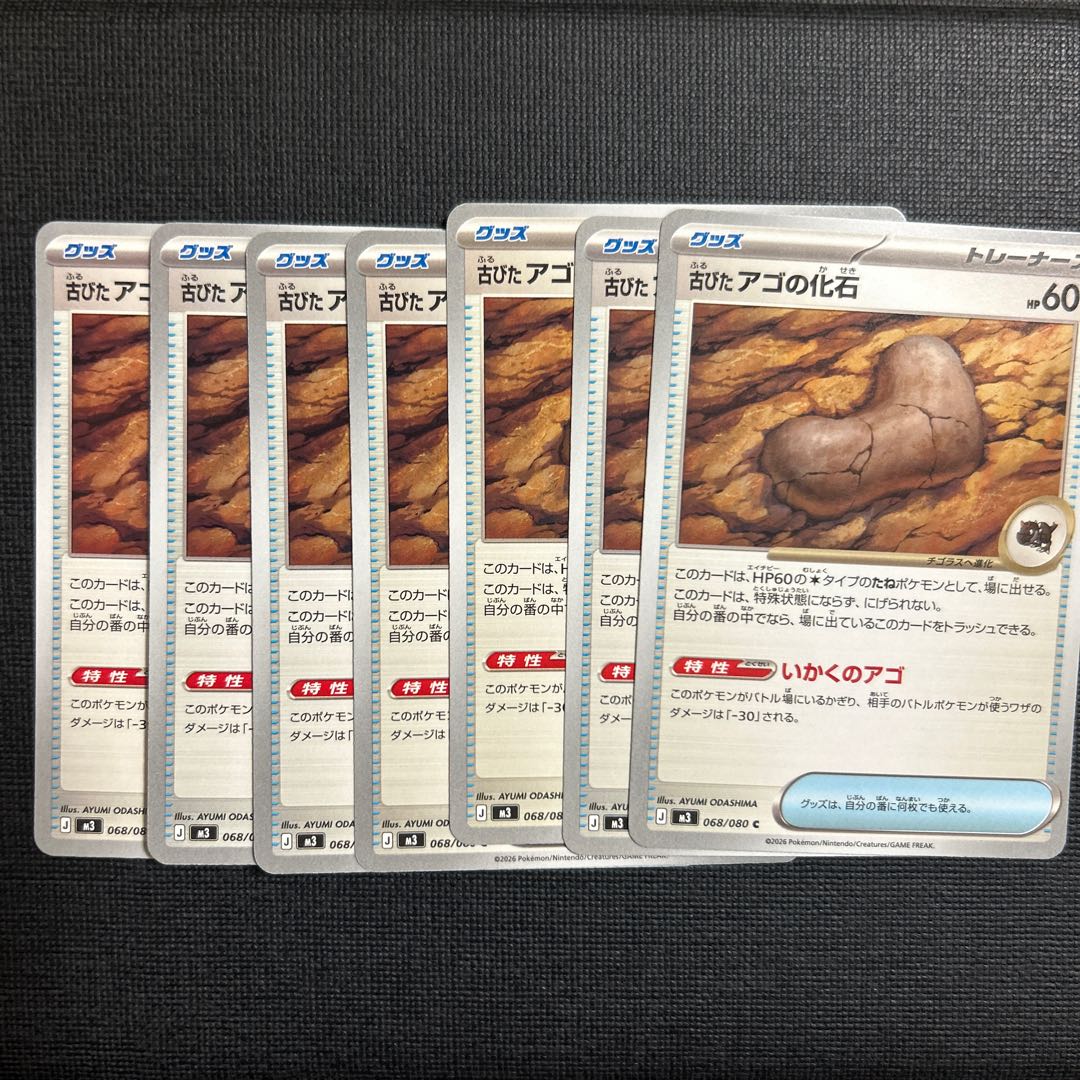 Old jaw fossil C 068/080 7枚