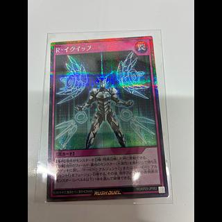 R・イクイップ SE RD/KP25-JP062 1枚