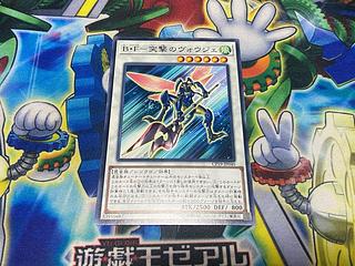 Y-1459 B-F-Charge's Vouge Normal JP040