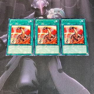 Heat Wave Rare A-00148