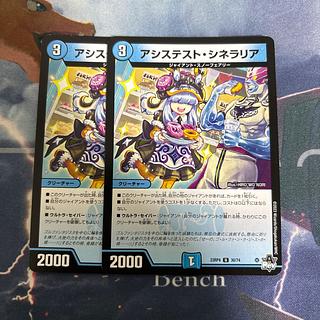 アシステストシネラリア　2枚