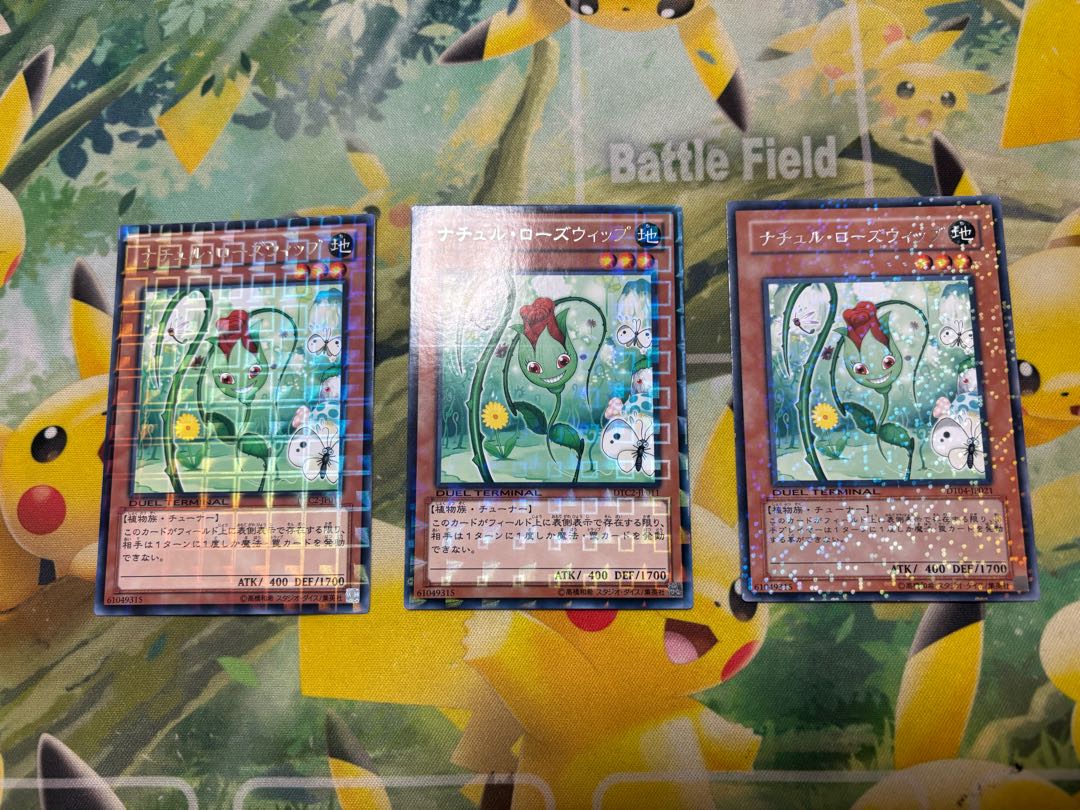 ナチュル・ローズウィップ　3枚 3枚