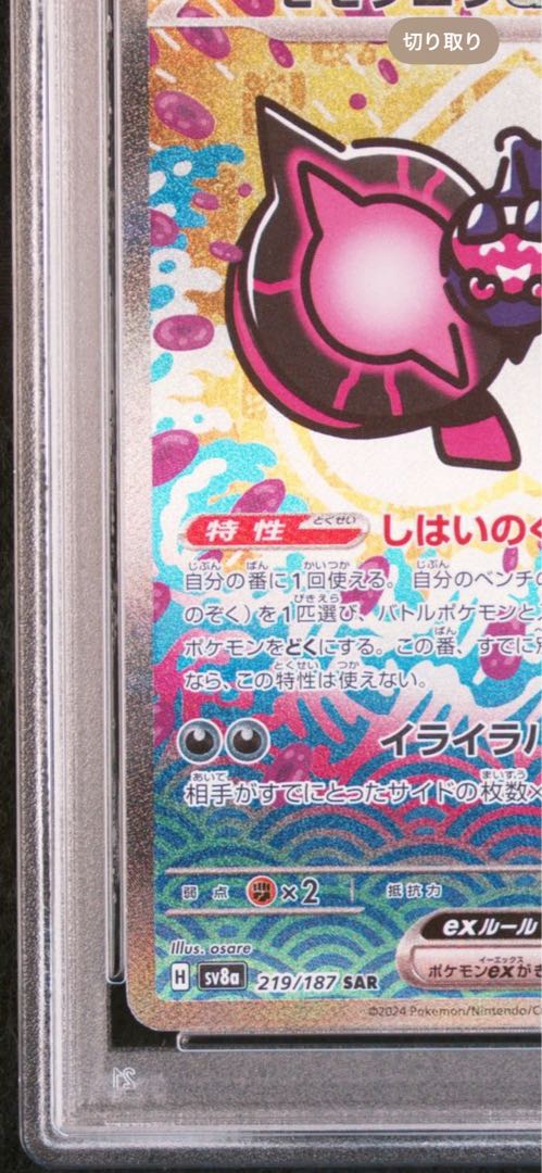 PSA100 モモワロウex SAR テラスタルフェスの通販 シャタ PSA100 モモワロウex SAR テラスタルフェスの通販 シャタ