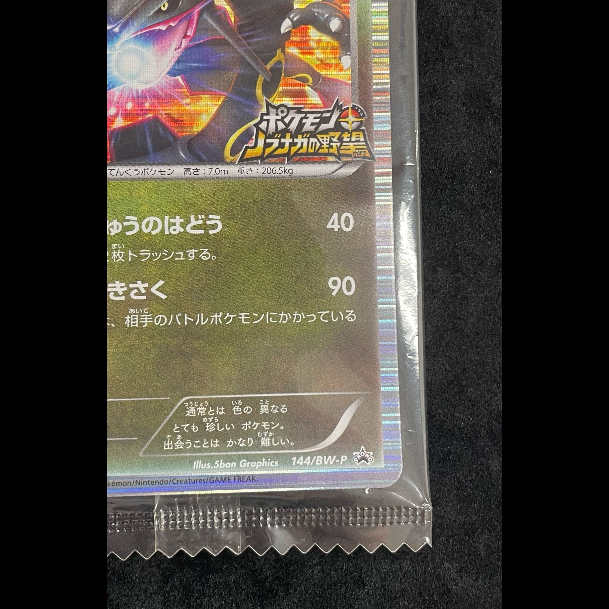 Rayquaza: Pokémon + Nobunaga's Ambition First-Print Bonus PROMO 144/BW-P 1枚