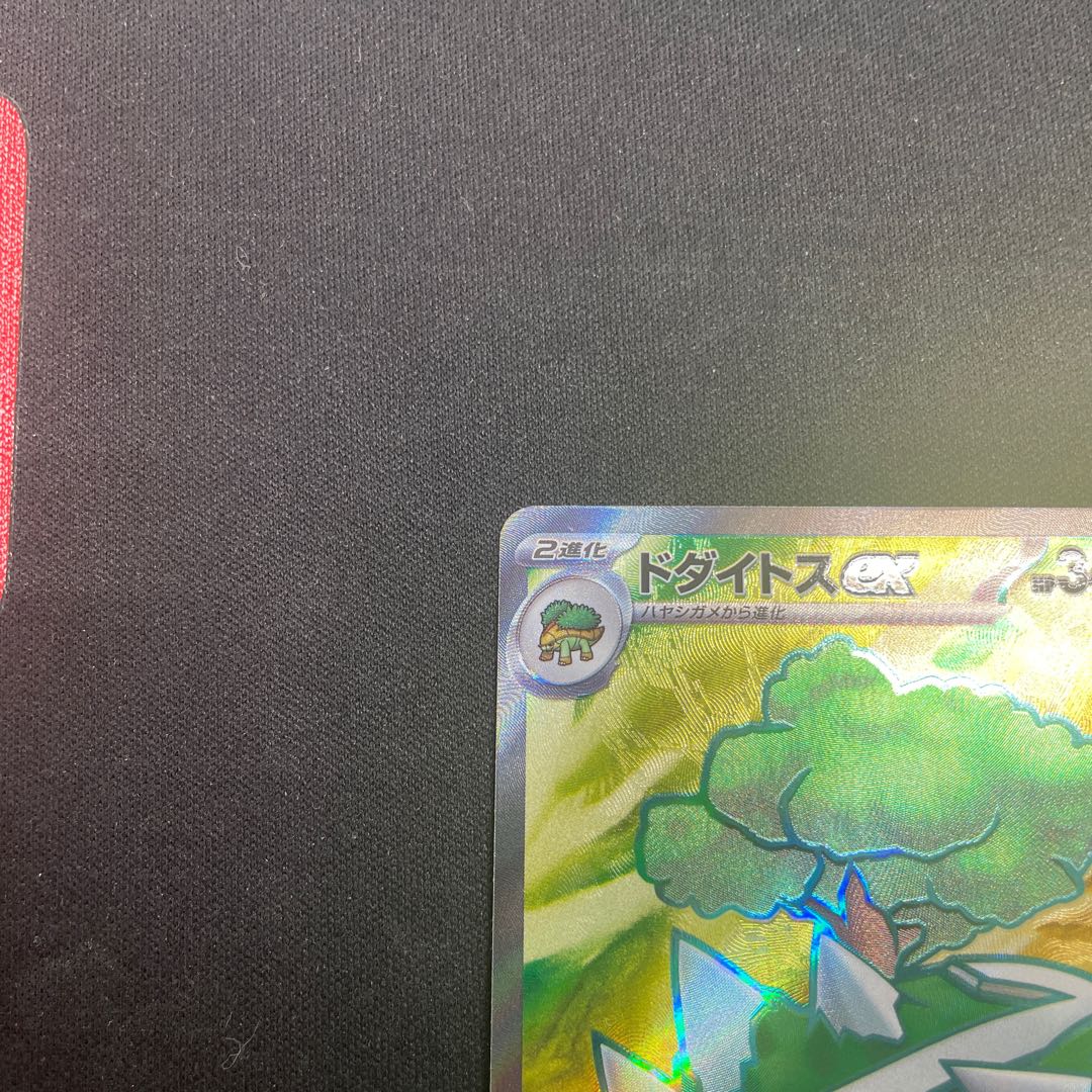 Torterraex SR 084/071 1枚