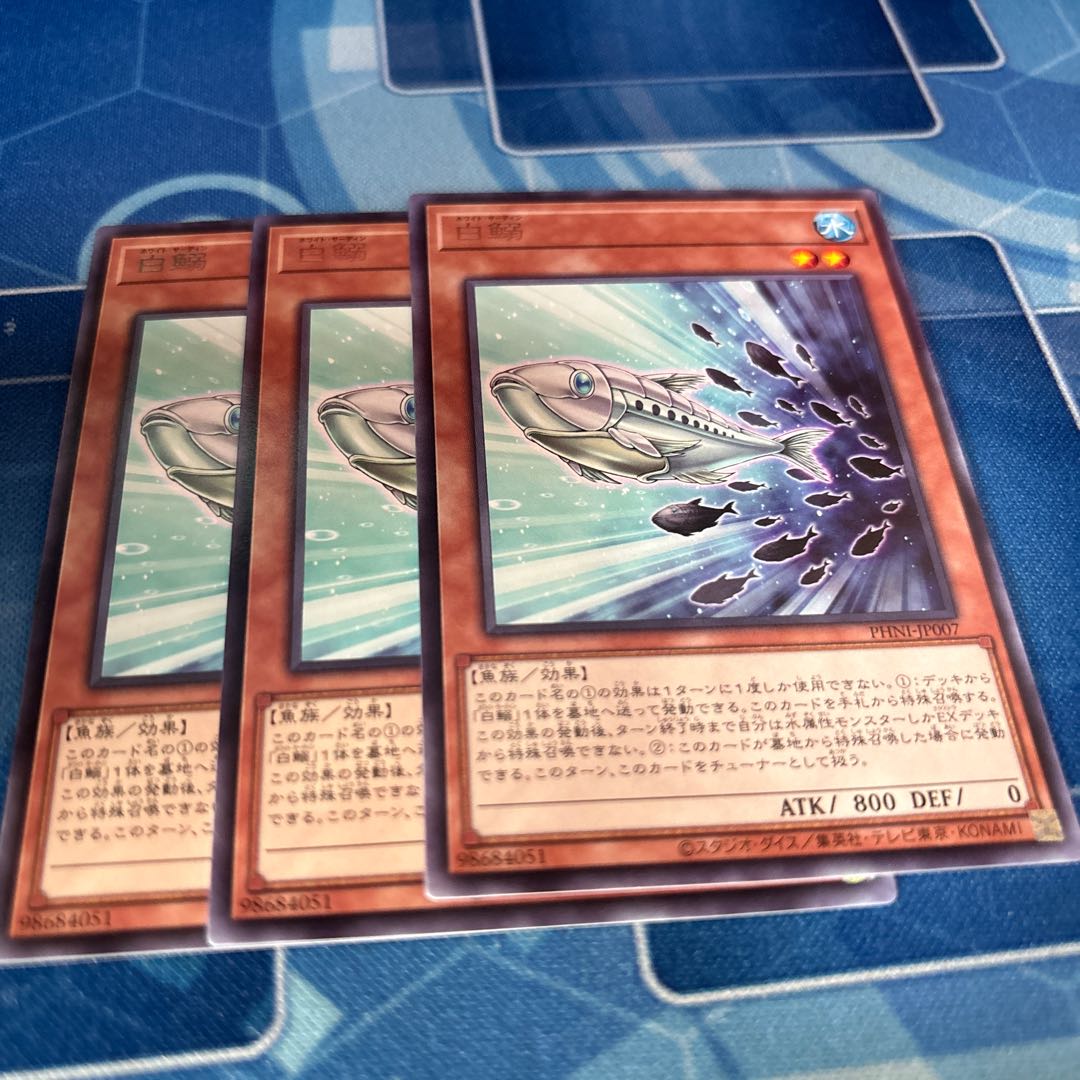 白鰯 レア PHNI-JP007