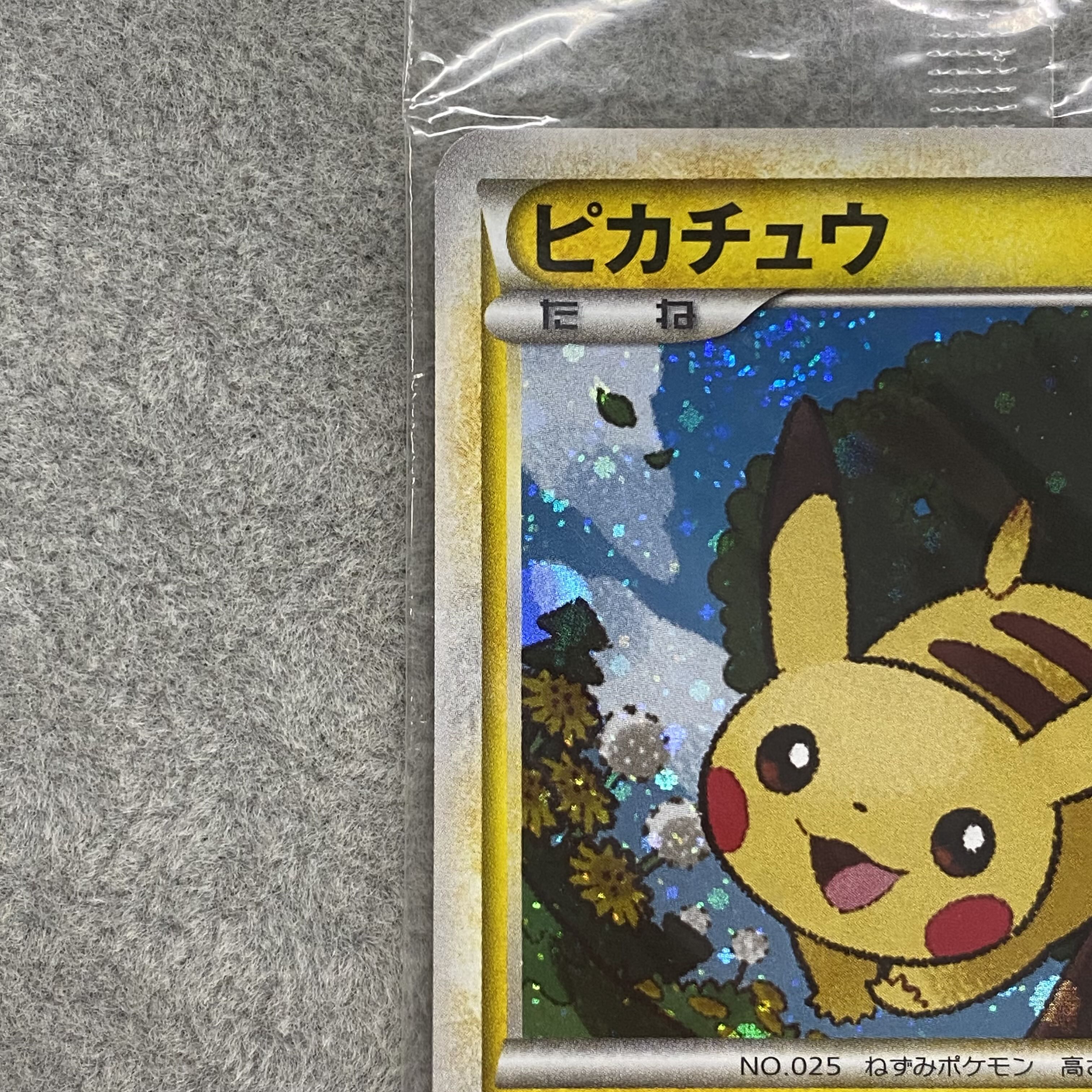 Pikachu 019/L-P Promo Unopened