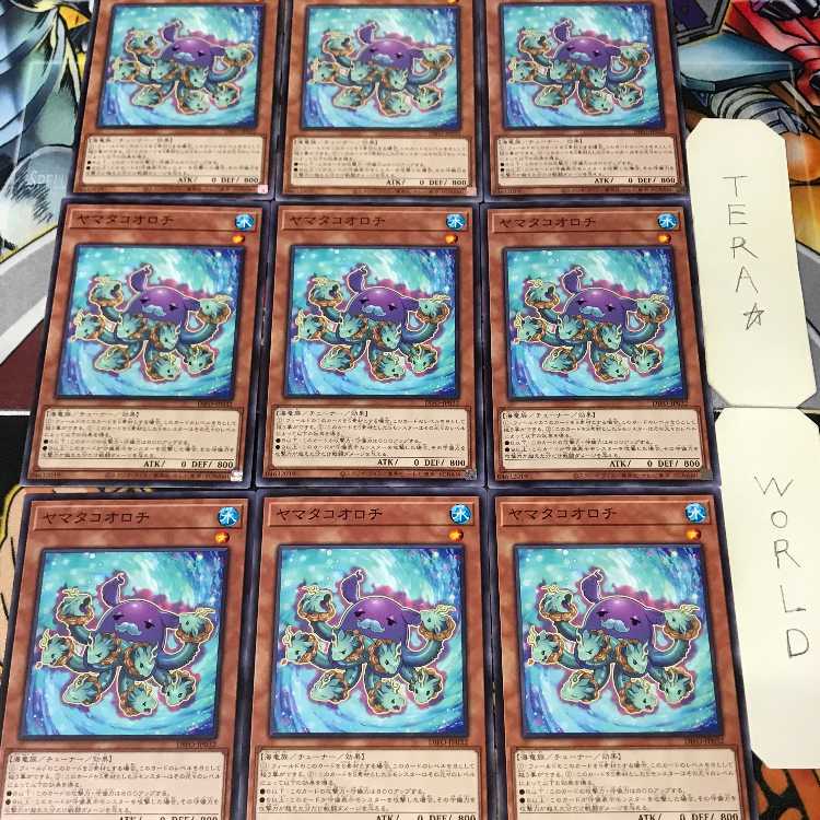 ヤマタコオロチ DIFO1 ノーマル 効果 9枚セット てら 9枚