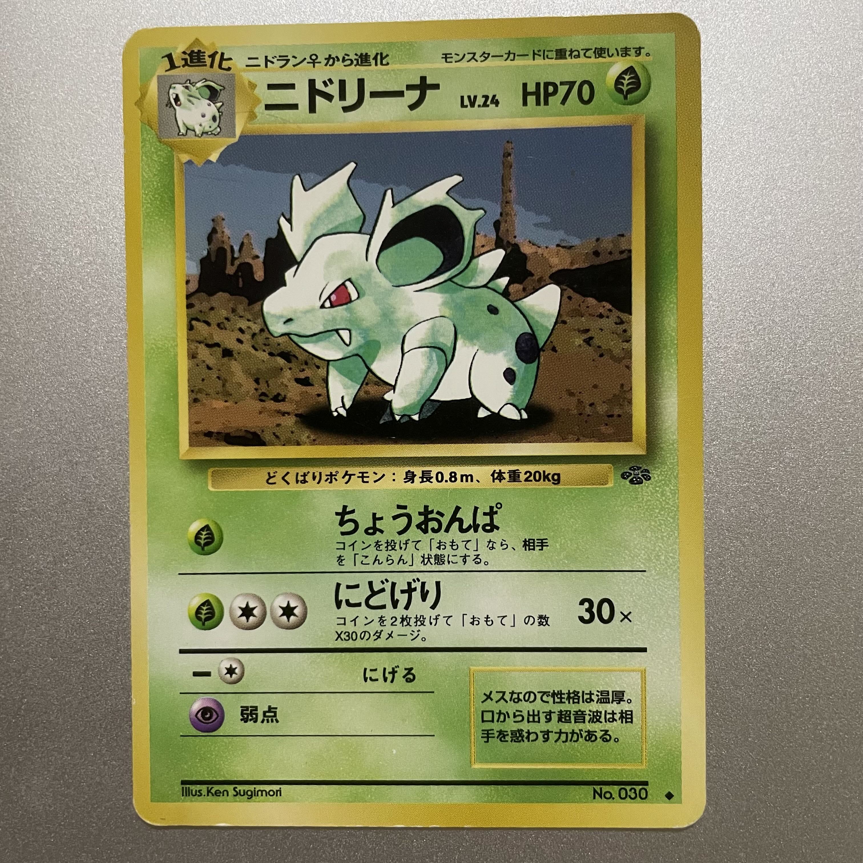 ニドリーナ　旧裏 1枚