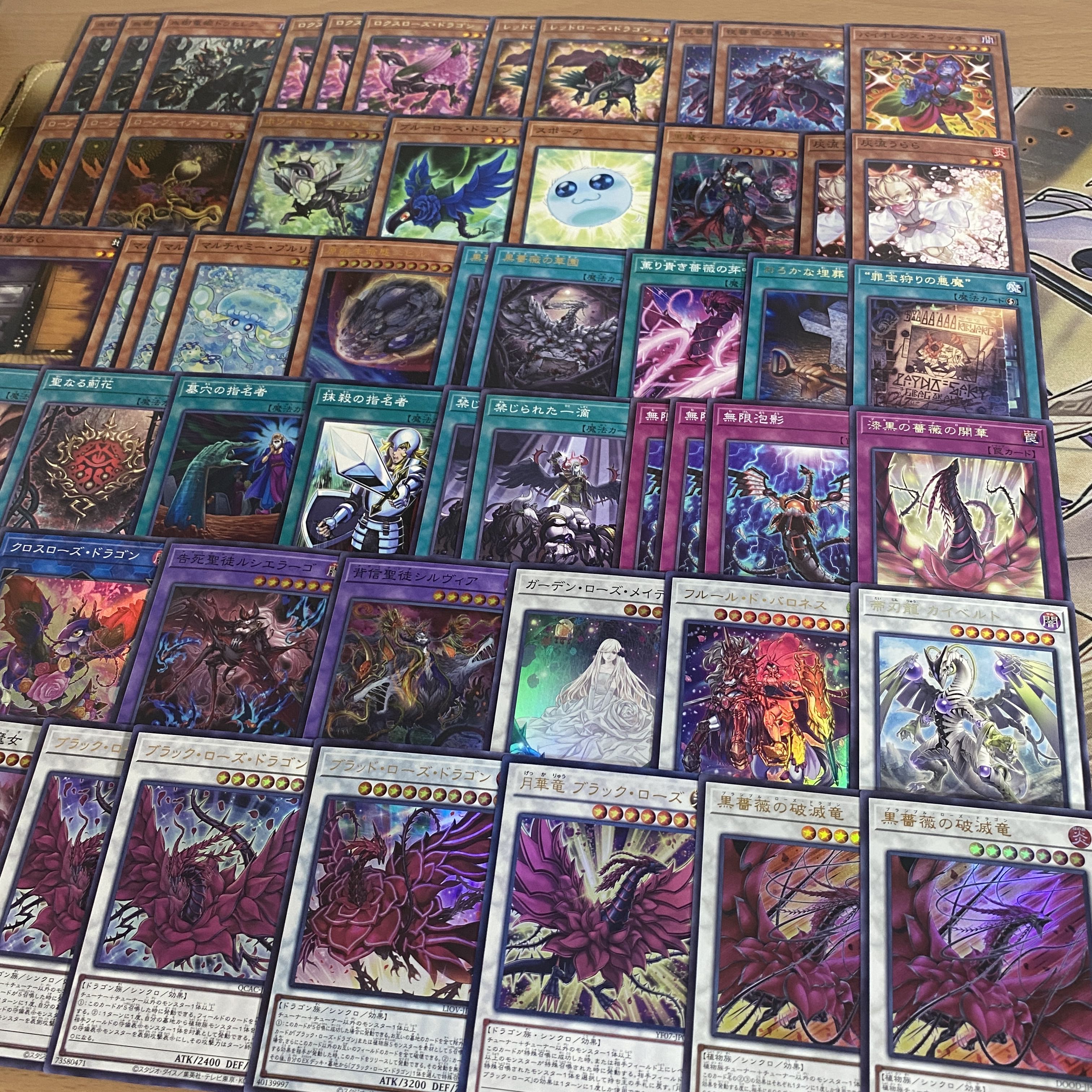 Black Rose Dragon Deck [search below Black Rose Ruination Dragon, Yu-Gi-Oh, authentic construction, early 2nd period, relief, gateball, deck parts]. 1枚