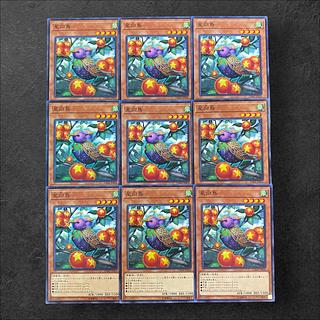 8566 [King of Games] Star Staring Starling 9-card set