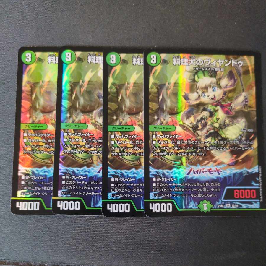 Cooking Dog Vyandu VR 22/89 Set of 4