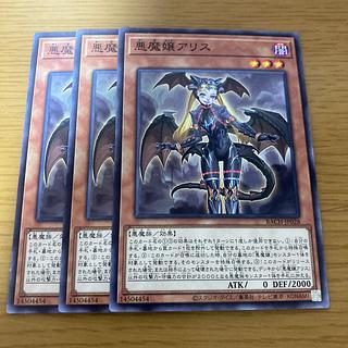 Darkness Demon Mistress A Squirrel Normal JP028 3枚