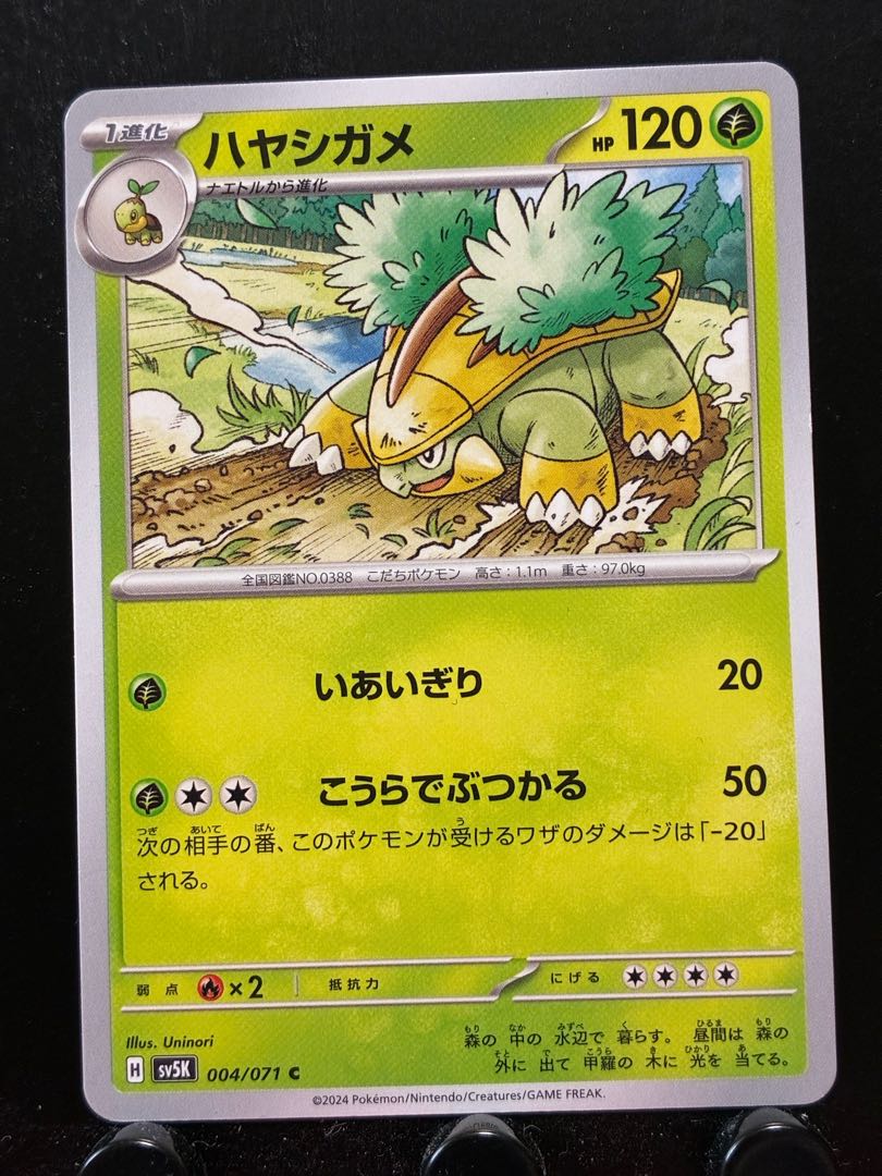 【楽々堂】ポケカ ハヤシガメ