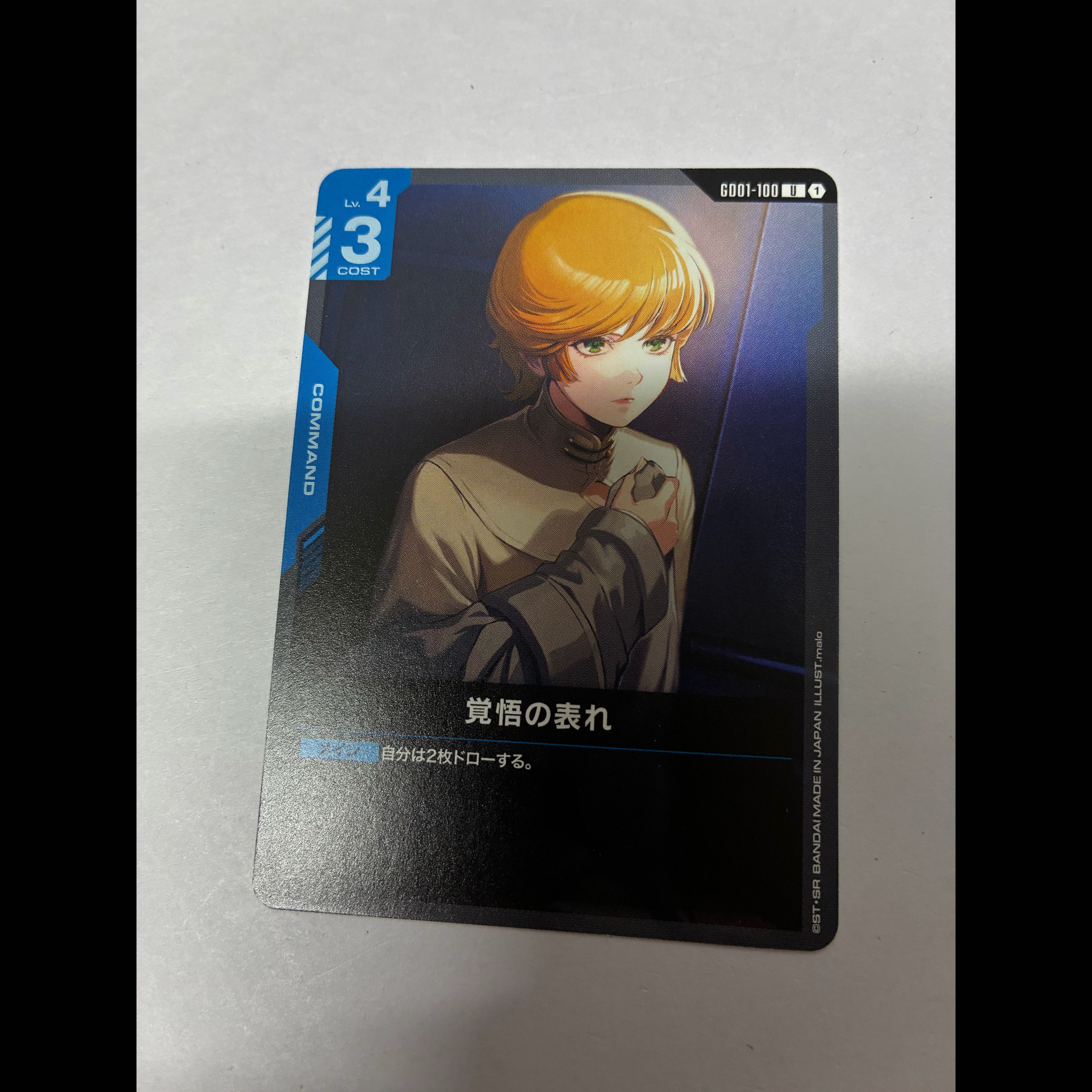 覚悟の表れ 1枚