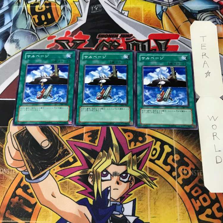 Salvage 307 1 Normal, set of 3 Tera.