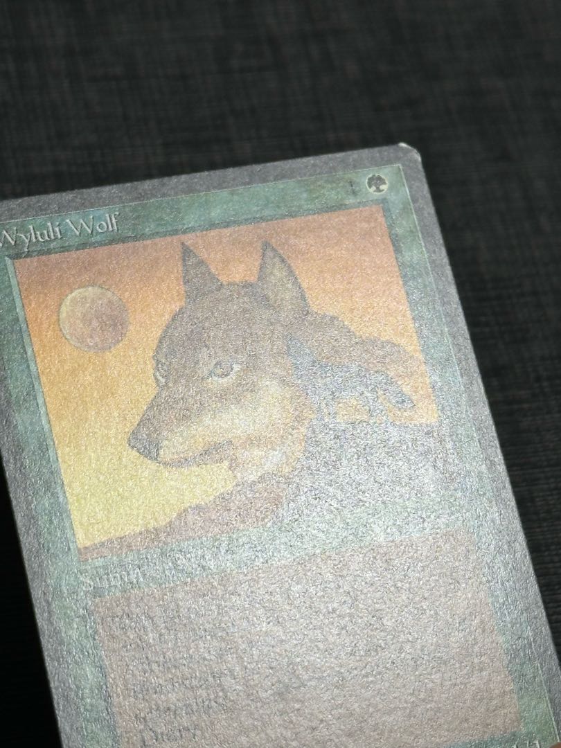 美品 Wyluli Wolf Common 55/92