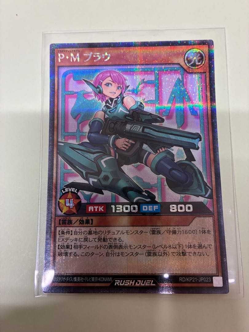 P・M ブラウ SE RD/KP21-JP023 1枚