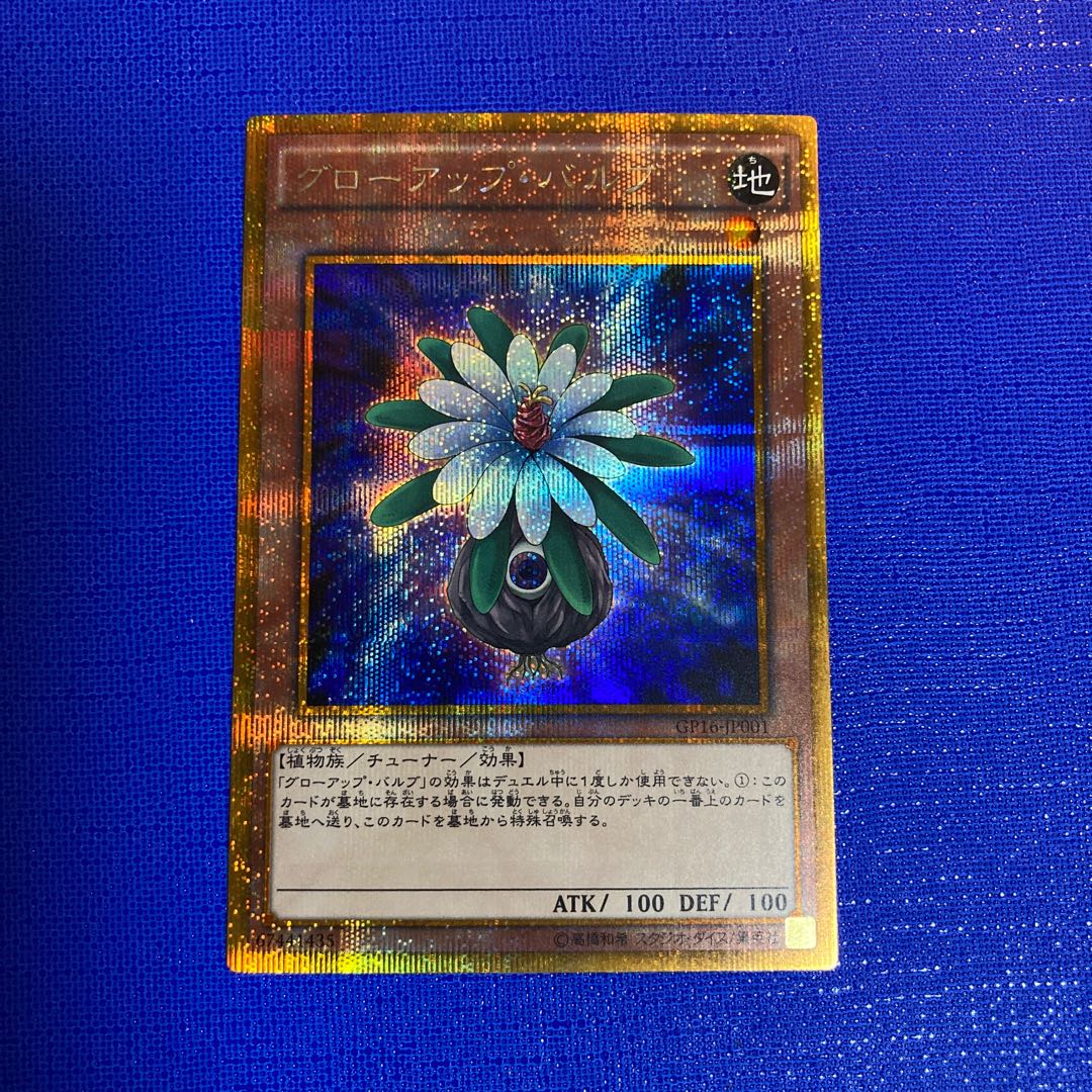 かられ様専用 1枚