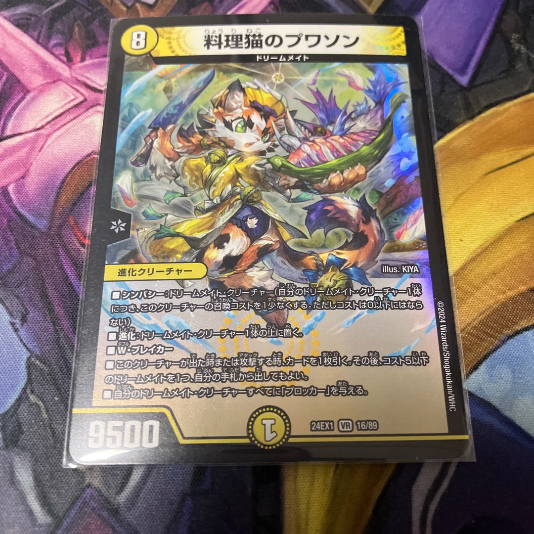 Cooking Cat Puisson VR 16/89